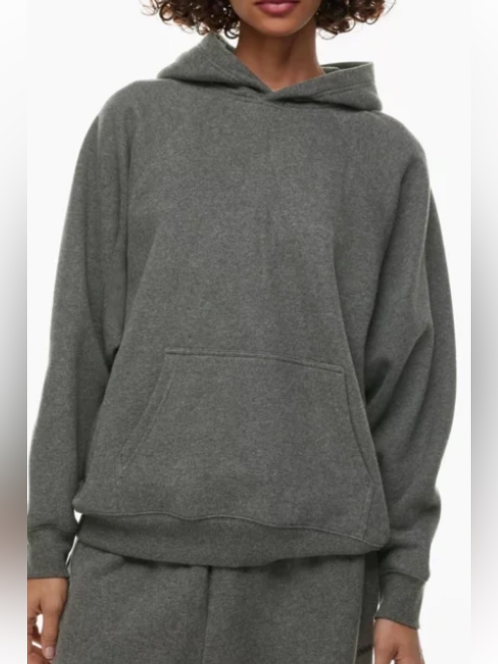 ARITZIA TNA SWEATFLEECE COZY FLEECE MEGA FIT SZ Large gray hoodie